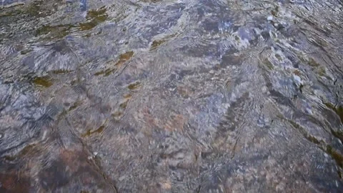 Flow shallow river close-up Stock Footage 130639947