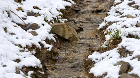 Flow of a small mountain stream. Stock Footage 74625130