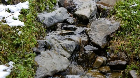 Flow of a small mountain stream. Stock Footage 74744555