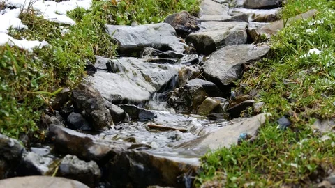 Flow of a small mountain stream. Stock Footage 74744556