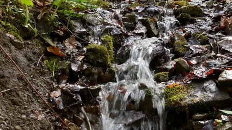 Flow of a small mountain stream. Video stock 77007767