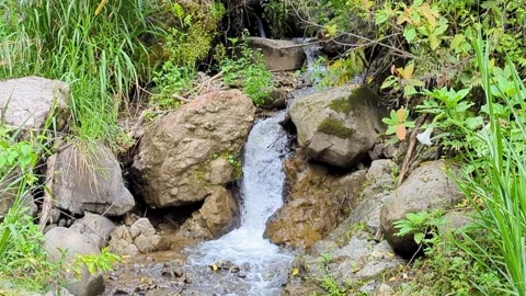 The flow of a small river forms a mini waterfall 스톡 동영상 293480970