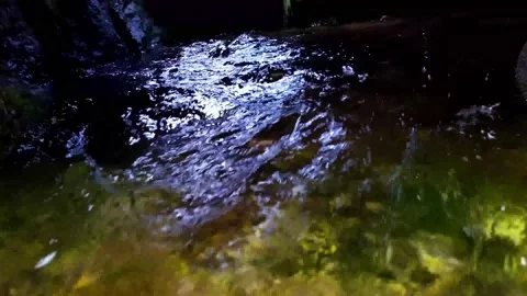 Flow of a small river under a cave in summer closeup video. Stock Footage 157606834