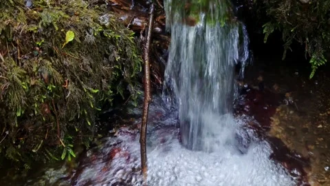 The flow of a small stream falls down, bubbles from the water. Stock Footage 252173594