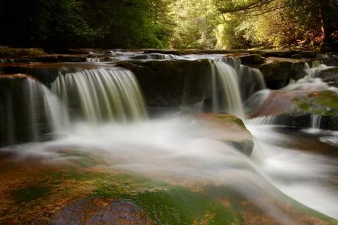 The flow of a small waterfall somewhere in the forest Stock Photos