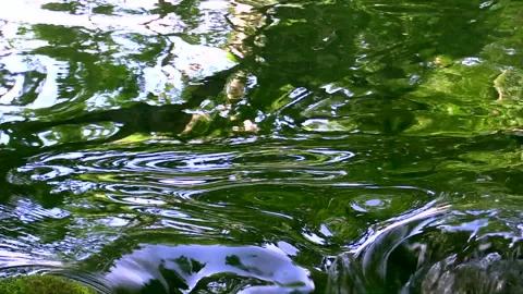 Flow of the Speech Bubble Park Vidéo 332206415