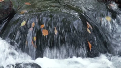 Flow of the Stream and Fallen Leaves Video stock 332394519