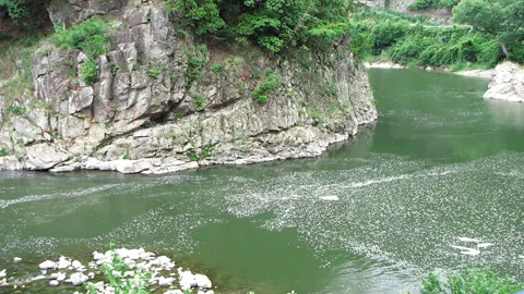 Flow of the Stream Vidéo 332812938