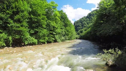Flow of the stream in the middle of the mountains with green trees Stock Footage 92276881