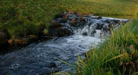 The flow of a stream through a stone barrier. Stock Photos