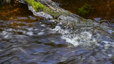 Flow through an obstacle Stock Footage 130639969