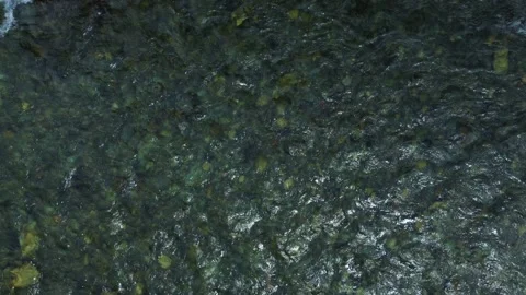 The flow of a transparent mountain river with a stone bottom. Stock Footage 201657901
