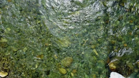 The flow of a transparent mountain river with a stone bottom. Stock Footage 201658054