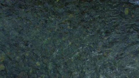 The flow of a transparent mountain river with a stone bottom. Stock Footage 204939210