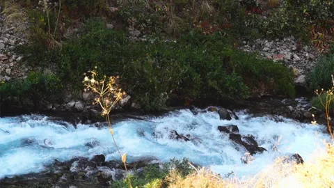 The flow of a turbulent mountain river with the formation of a veil of air .. Stock Footage 281252555