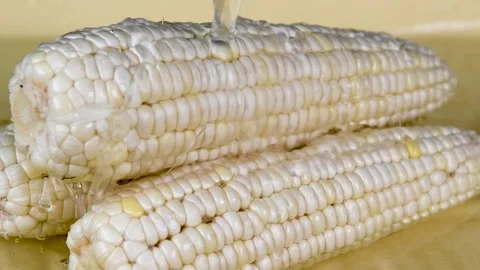 Flow of water cleans the maize Stock Footage 159735194