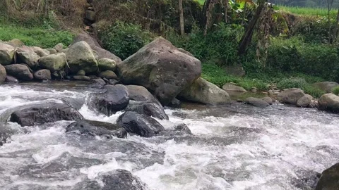 The flow of water flows fast in a clean river Stock-Footage 303390294