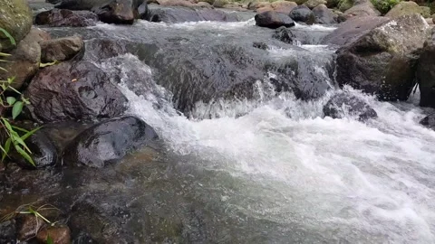 The flow of water flows fast in a clean river Video stock 303390301