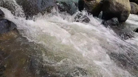 The flow of water flows fast in a clean river Video stock 303390304
