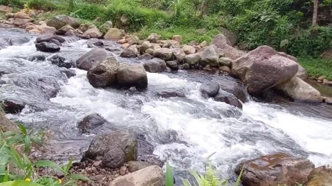 The flow of water flows fast in a clean river Video stock 303390315