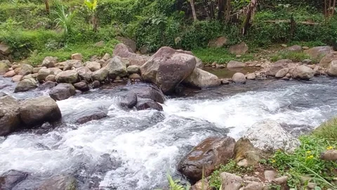 The flow of water flows fast in a clean river Video stock 303390316