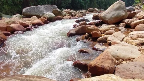 The flow of water flows fast in a clean river Video stock 303390331