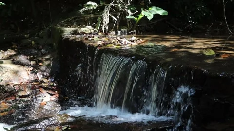 The flow of water Stock Footage 302895677