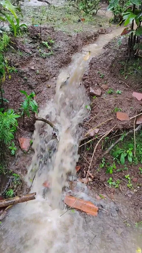 The flow of water in the gutter during rain Stock Footage 330586634