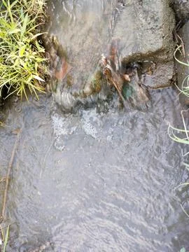 The flow of water for irrigating rice in the fields Stock Photos
