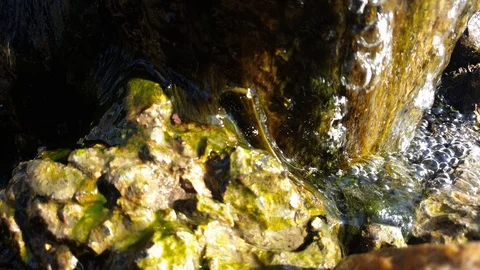 The flow of water is key. Spring water. Stock Footage 106447538