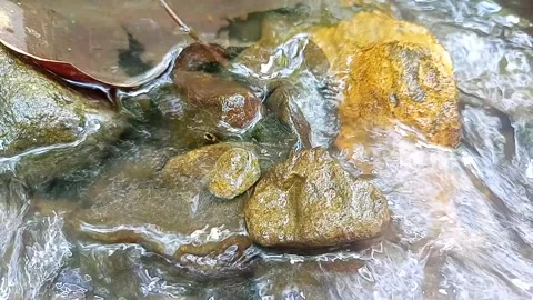 The flow of water meanders through the rocks of the river Stock Footage 237357270