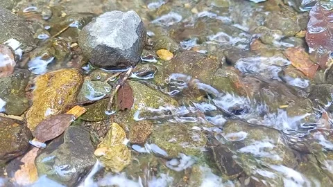 The flow of water meanders through the rocks of the river Stock Footage 237362714
