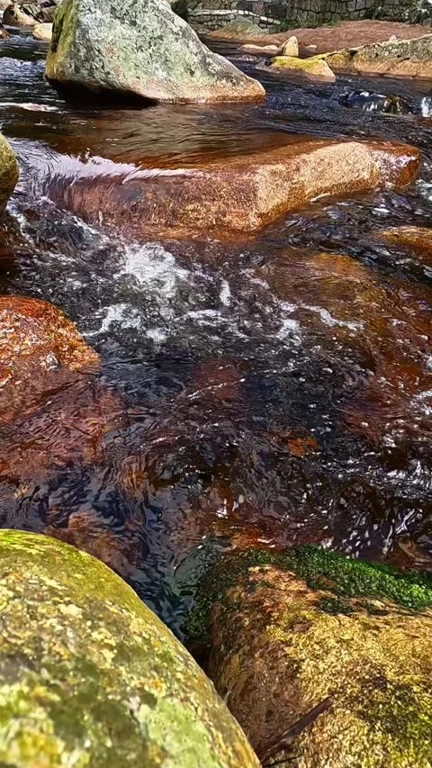 Flow of water in the mountain river Jizera on the border of Poland and Czech Stock Footage 295189106