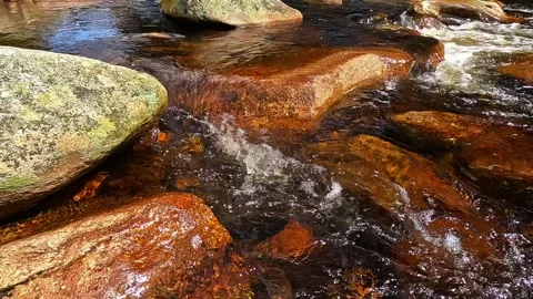 Flow of water in the mountain river Jizera on the border of Poland and Czech Stock Footage 296152663
