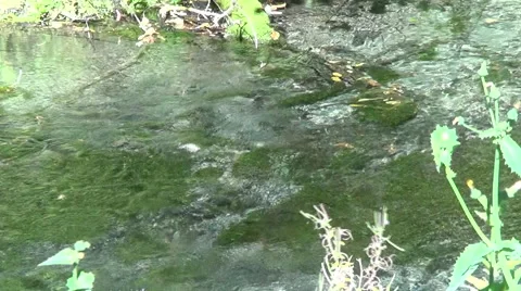 The flow of water in a mountain stream Stock-Footage 53874394