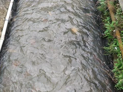Flow of water Stock Photos