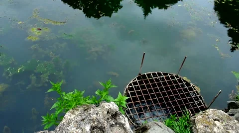 The flow of water from the pond 動画素材 53197603