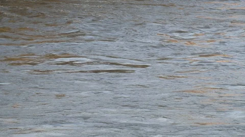 Flow of water in the river Vídeos de archivo 96078695