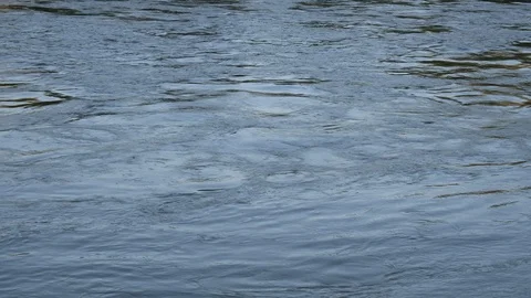 Flow of water in the river Stock Footage 96078763