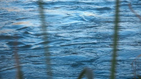 The flow of water in the river Vídeo Stock 107685572