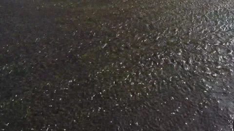 The flow of water on the shallow river in the city. Stock Footage 153557396