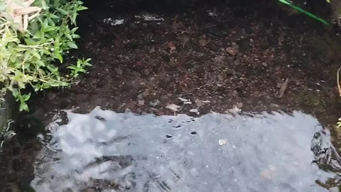 The flow of water in a small ditch on the sidewalk of the weighing road Stock Footage 225483787