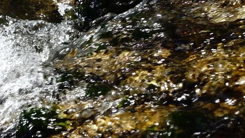 The flow of water in the spring stream. Slow motion. Stock-Footage 129380073