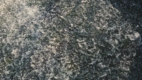 Flow of water from a spring. Strong current of river water. Flow of water over Stock Footage 315481585