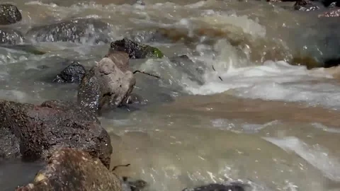Flow of water through rocks and rapids Stock Footage 156848073