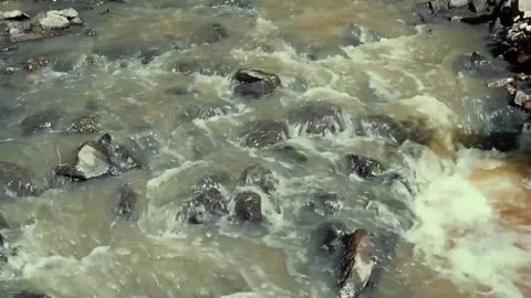 Flow of water through rocks and rapids Stock Footage 156848074