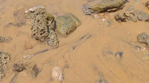 The flow of water waves on the beach sand that flows quietly Stock Footage 220346176