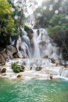Flow of the waterfall in the forest Foto stock