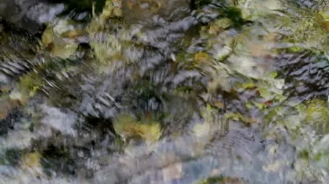 Flow1.mp4 Stock Footage 8850010