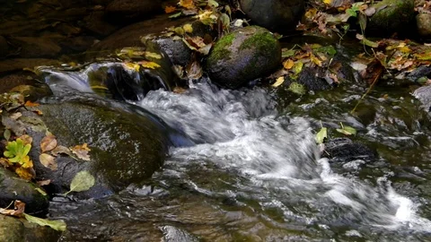 A floweing river with fresh water Stock Footage 71448019